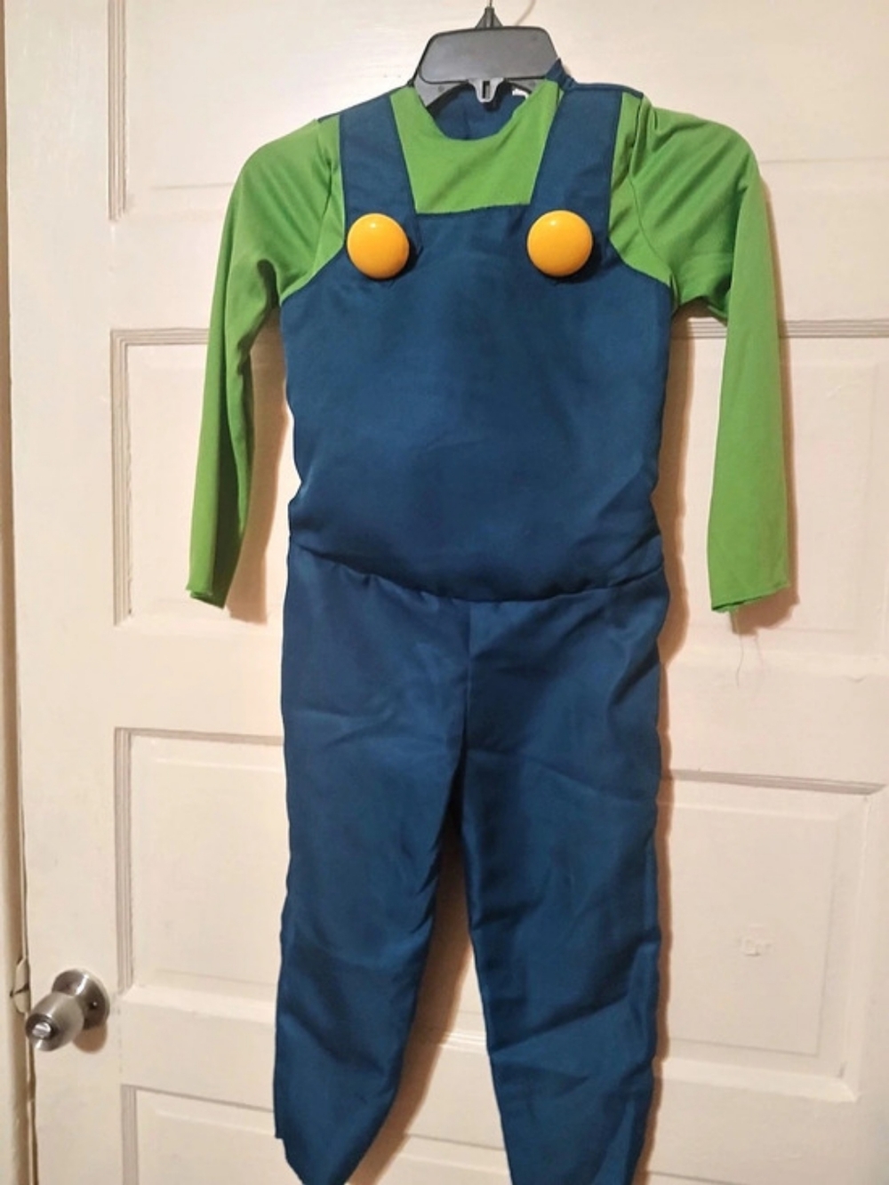 Nintendo Luigi Costume Blue & Green